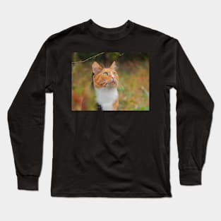 Shades of Autumn Long Sleeve T-Shirt